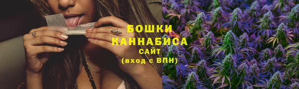 PSILOCYBIN Волосово